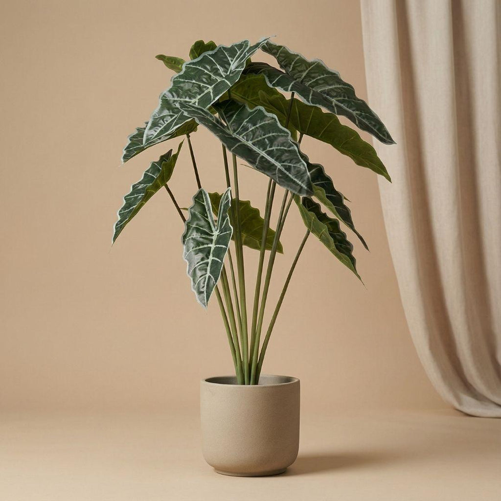Künstliche Alocasia, ca. 80 cm – Produktfoto