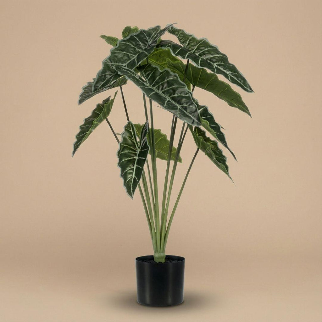 Künstliche Alocasia, ca. 80 cm – Ansicht 4