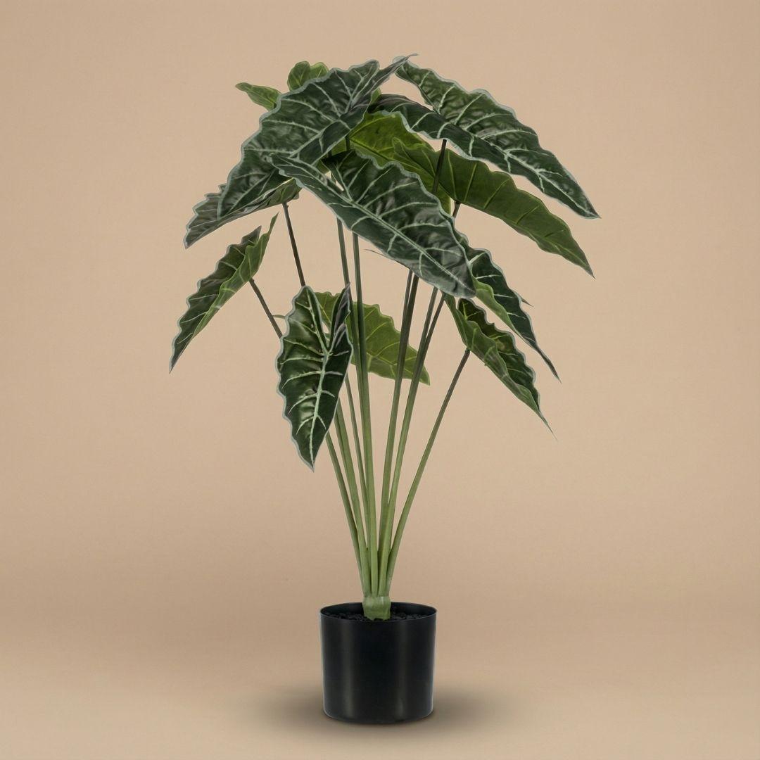 Künstliche Alocasia, ca. 80 cm – Ansicht 4