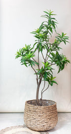 Kunst-Drachenbaum Dracaena, ca. 190 cm – Ansicht 5