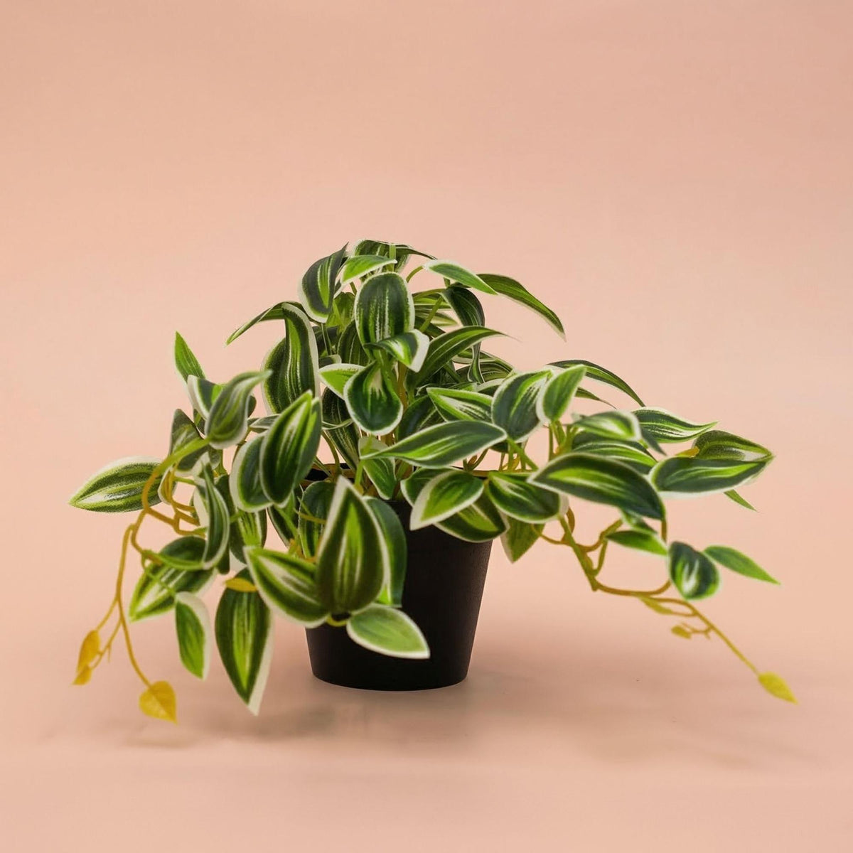 Künstliche Tradescantia, ca. 19 cm, Grün-Weiß – Ansicht 4