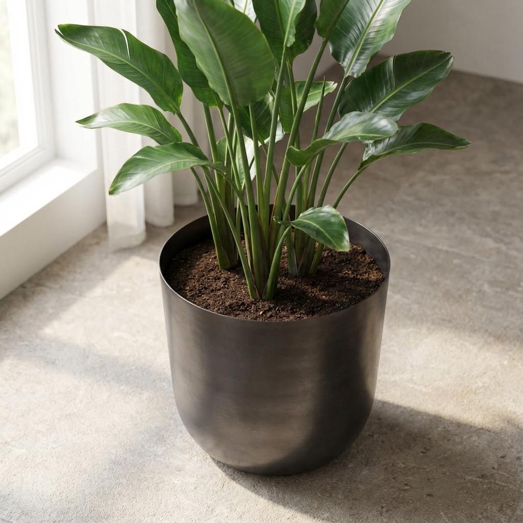Übertopf Mayk Lead, Ø 20 cm – Ansicht 5