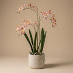Künstliche Renanthera-Orchidee im Topf, ca. 56 cm, Rosa – Produktfoto