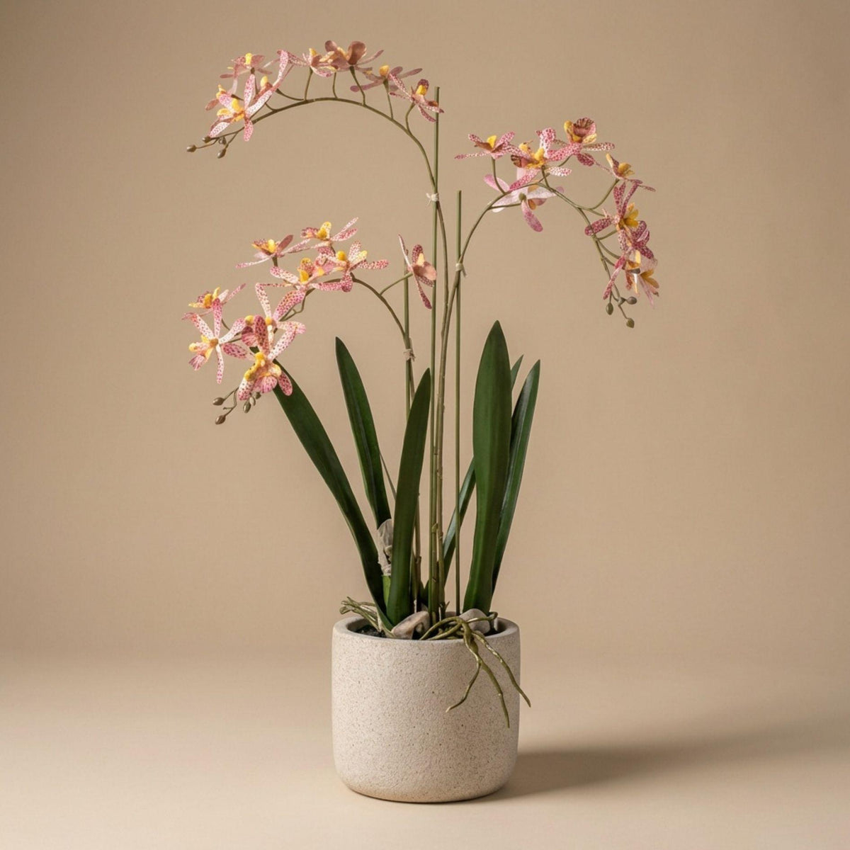Künstliche Renanthera-Orchidee im Topf, ca. 56 cm, Rosa – Produktfoto