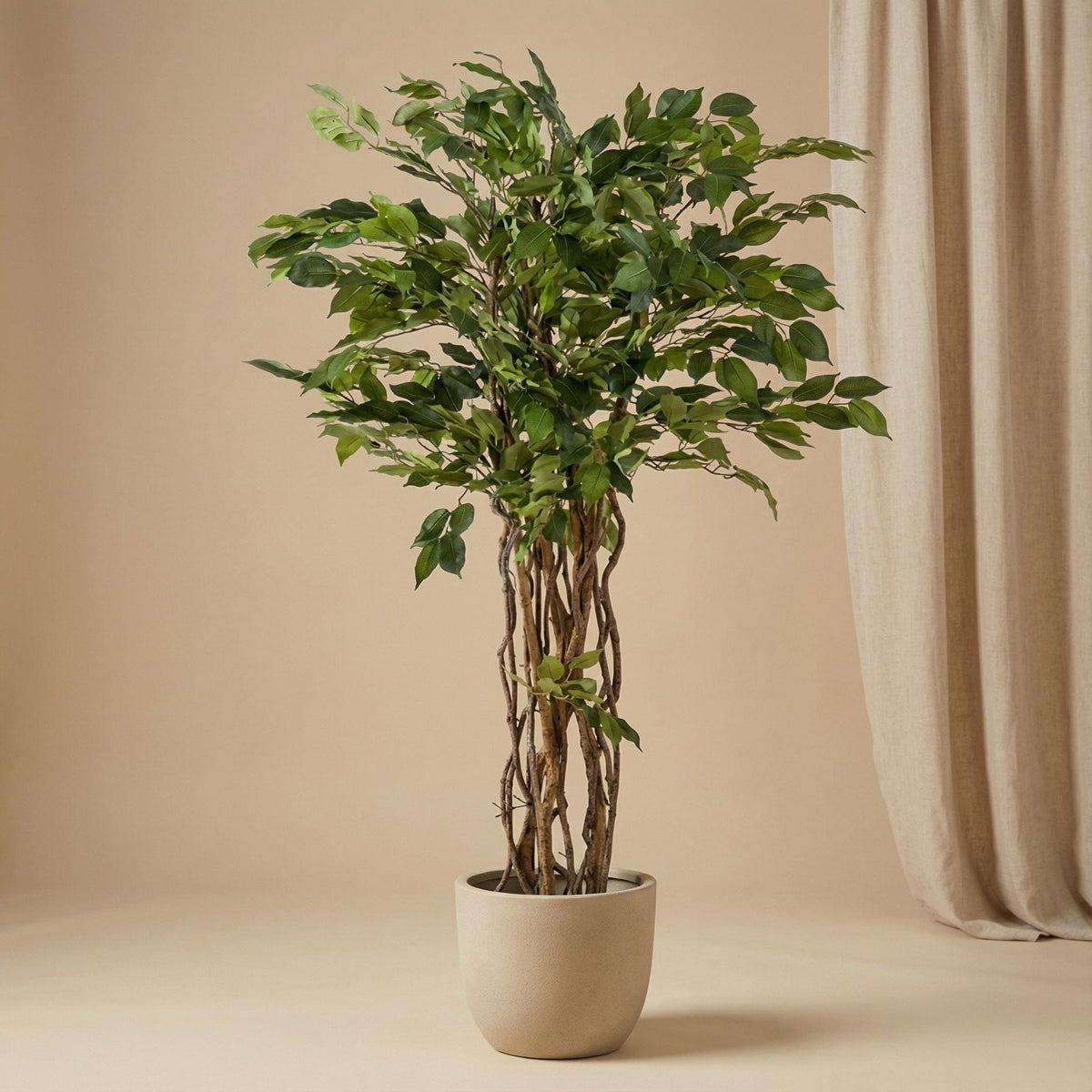 Kunst-Ficus Liana, ca. 140 cm – Produktfoto