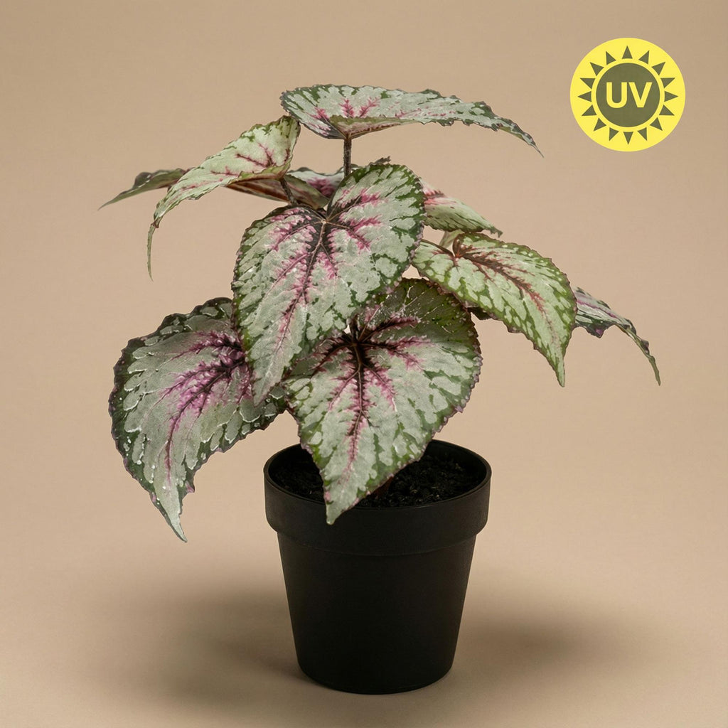 Künstliche Begonie, ca. 26 cm – Produktfoto