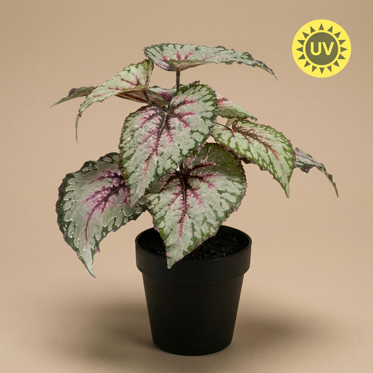 Künstliche Begonie, ca. 26 cm – Produktfoto