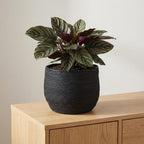 Pflanzkorb Jorck Schwarz, Ø 26 cm – Ansicht 4