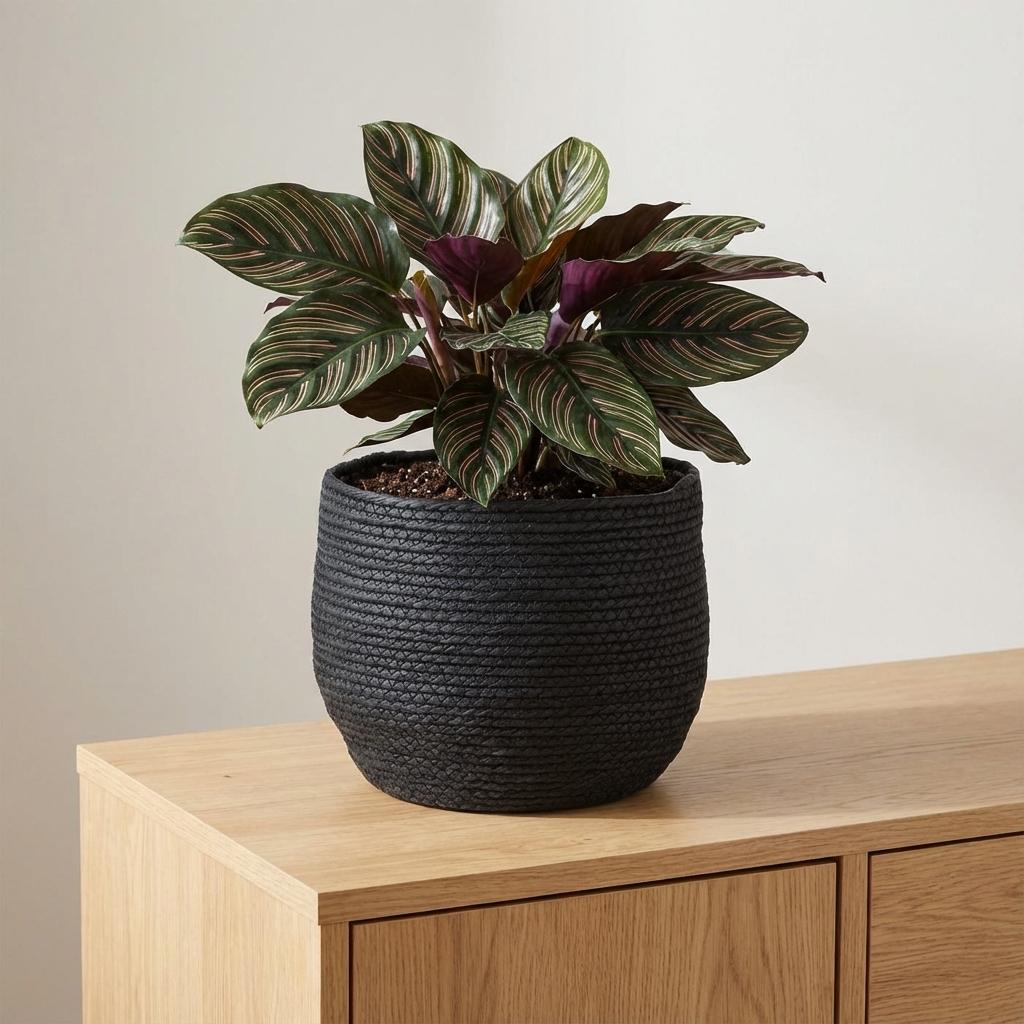 Pflanzkorb Jorck Schwarz, Ø 26 cm – Ansicht 4