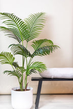 Kunstpalme Howea Forsteriana, ca. 140 cm – Ansicht 5