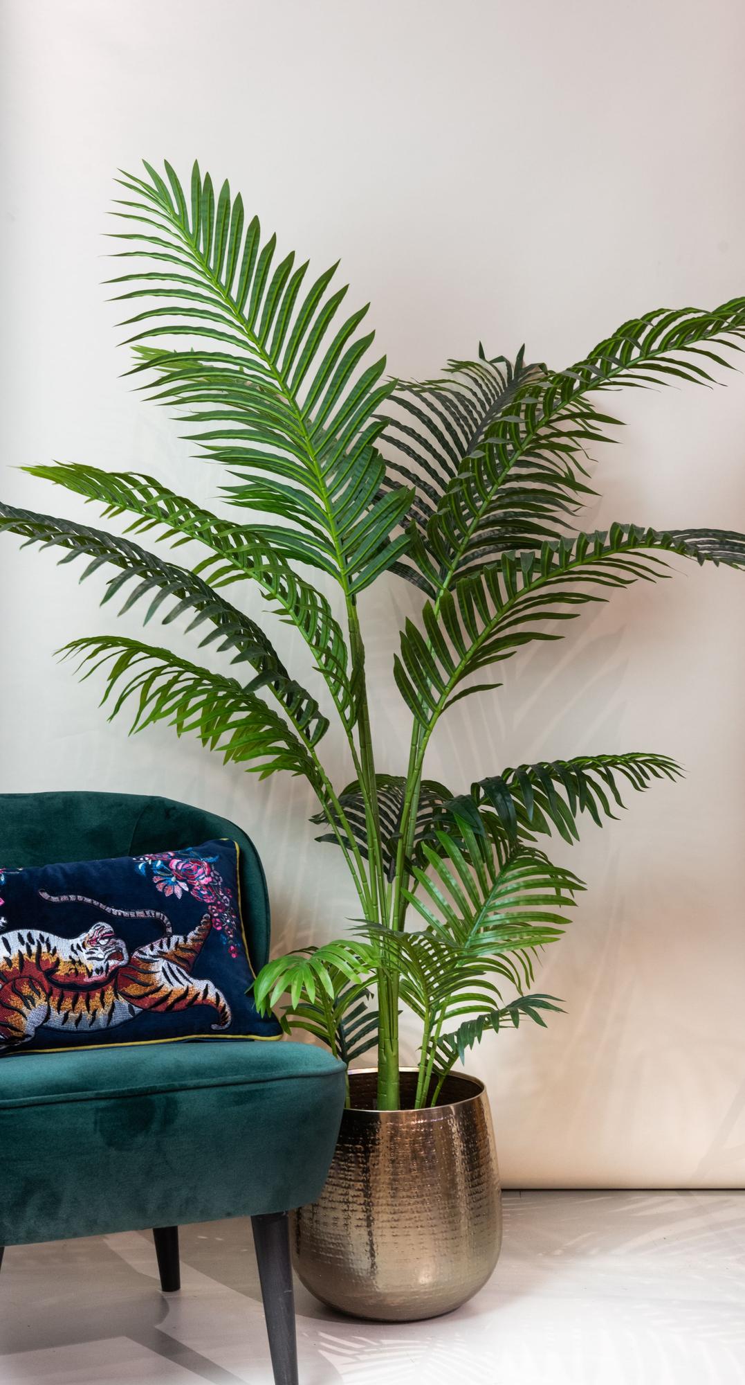 Kunstpalme Howea Forsteriana, ca. 160 cm – Ansicht 5