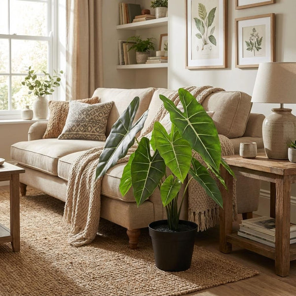 Künstliche Alocasia Polly (Alocasia 'Polly')