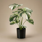 Künstlicher Monstera-Busch, ca. 40 cm – Produktfoto