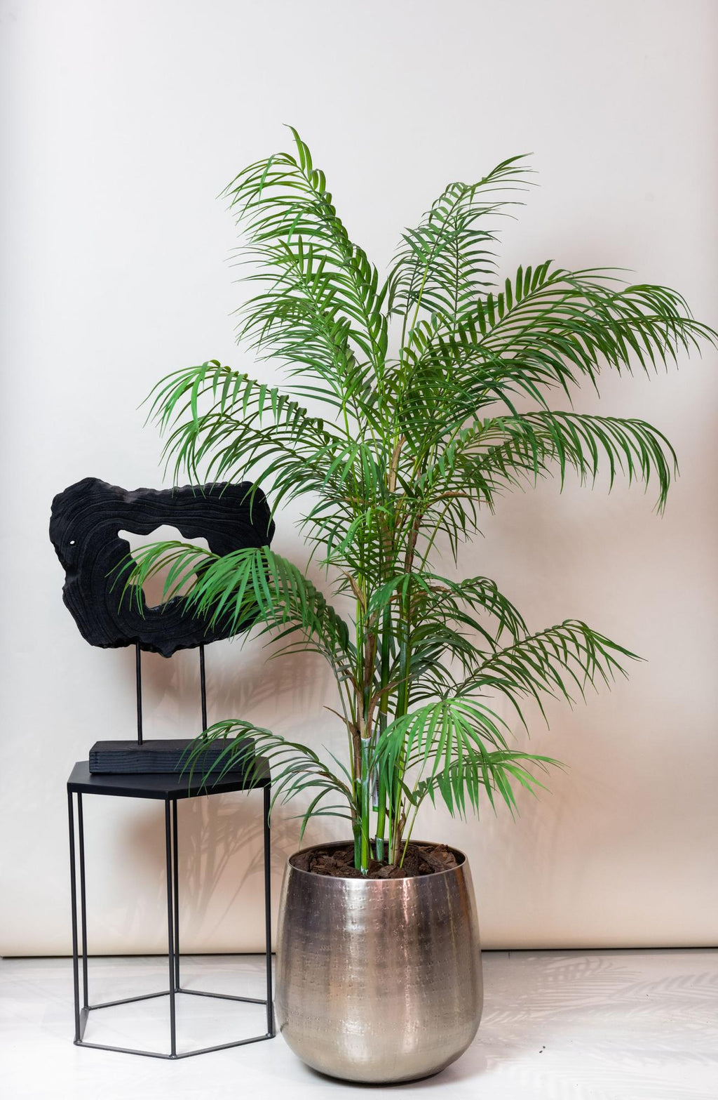 Kunst-Bergpalme Chamaedorea, ca. 120 cm – Ansicht 5