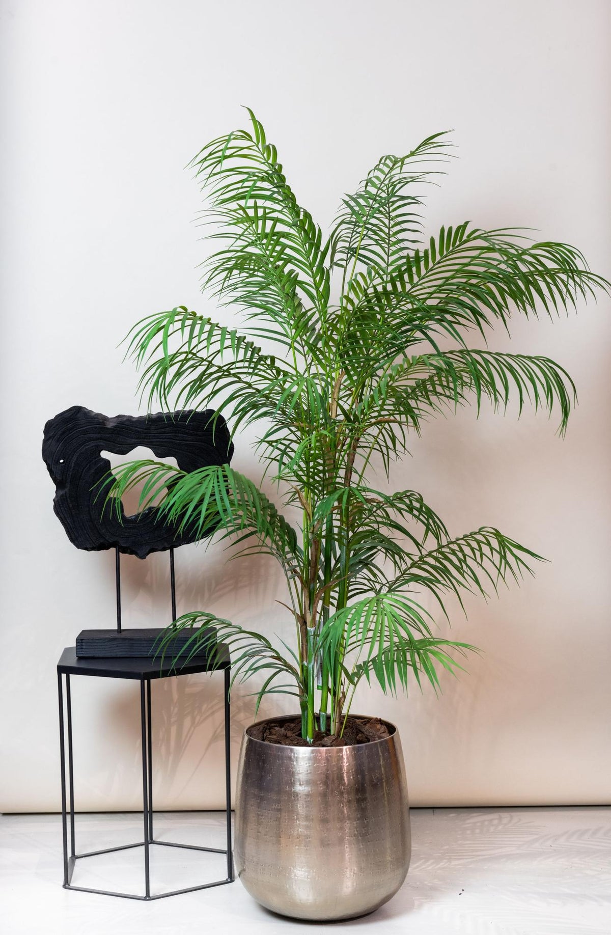 Kunst-Bergpalme Chamaedorea, ca. 120 cm – Ansicht 5