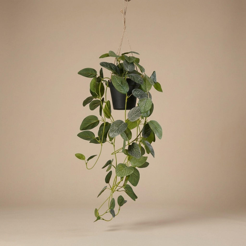 Künstliche Fittonia Hängepflanze, ca. 70 cm – Produktfoto