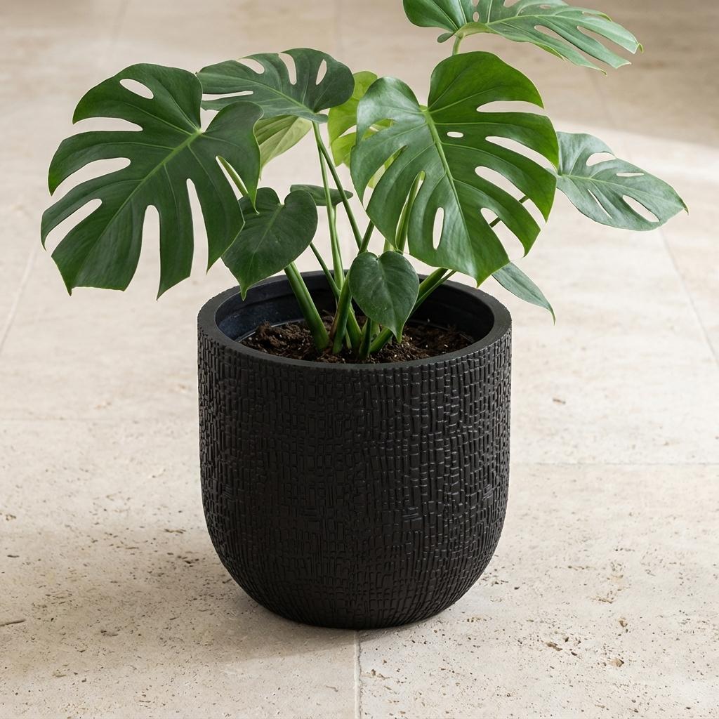Übertopf Capi Nature Skin Bol, Anthrazit – Ansicht 5, Ø 14 cm