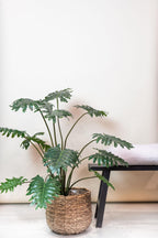 Kunst-Philodendron, ca. 80 cm – Ansicht 5