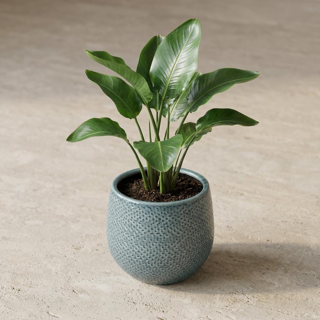 Übertopf Gabriel rund Blau, Ø 14 cm – Ansicht 4