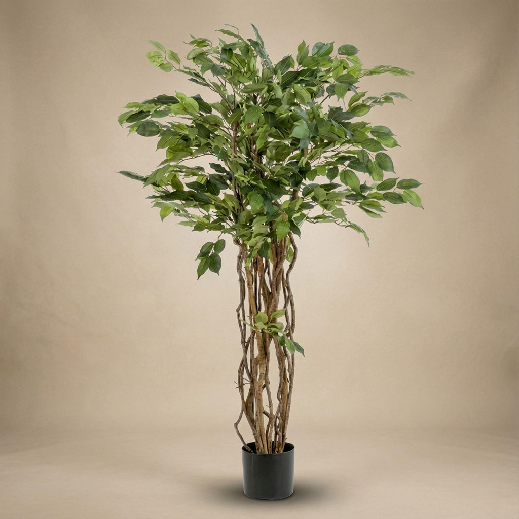Kunst-Ficus Liana, ca. 140 cm – Ansicht 5