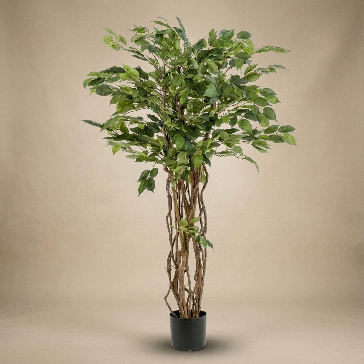Kunst-Ficus Liana, ca. 140 cm – Ansicht 5