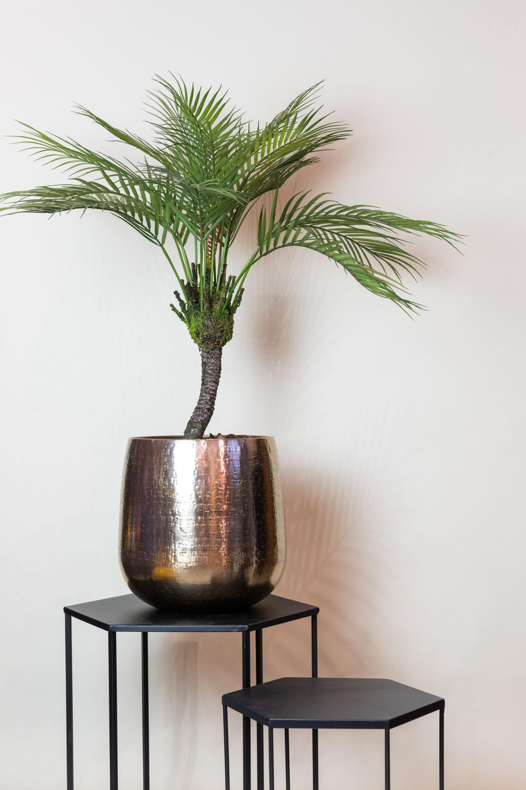 Kunst-Bergpalme, ca. 85 cm – Ansicht 5