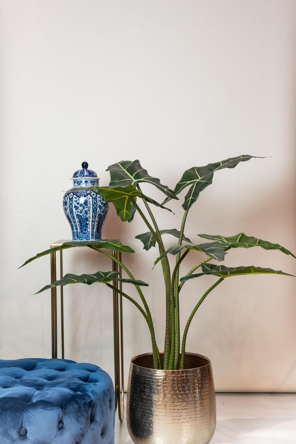 Künstliche Alocasia Frydek, ca. 120 cm – Ansicht 5