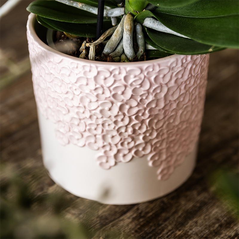 Übertopf-Set Bloom Rosa, 3-teilig – Ansicht 5