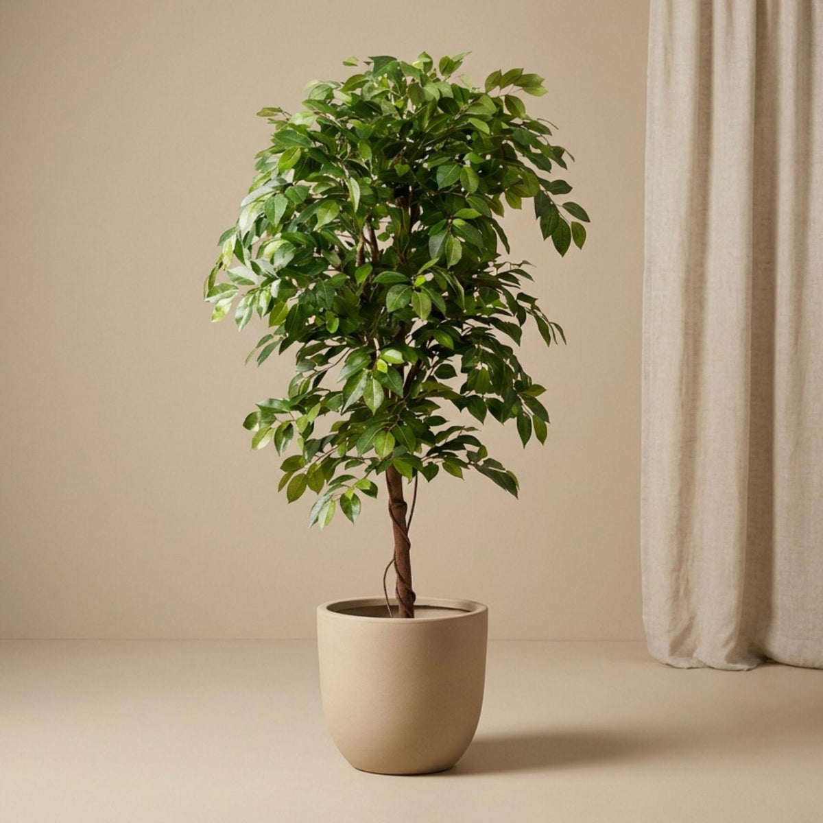 Künstlicher Ficus »Deluxe Vine«, ca. 140 cm – Produktfoto