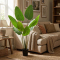 Künstliche Strelitzia Nicolai, ca. 155 cm – Detailansicht