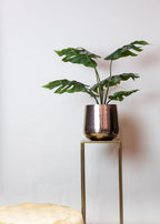 Künstliche Monstera, Löcherpflanze, ca. 85 cm – Ansicht 5