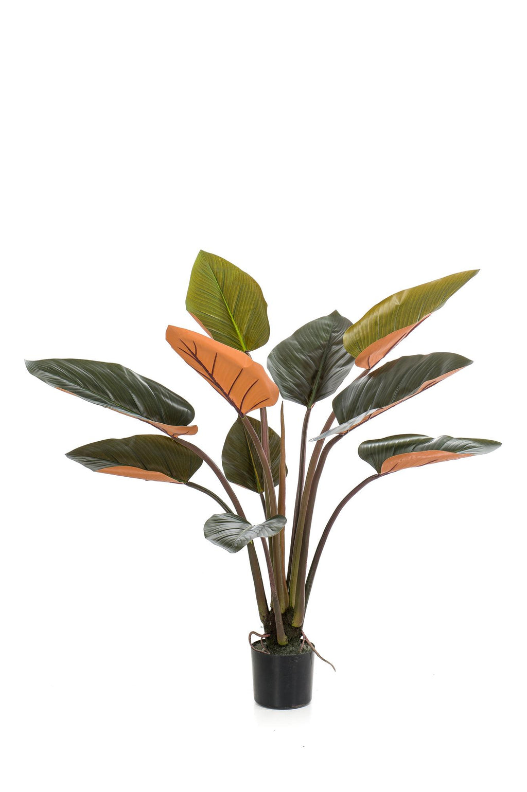 Künstlicher Philodendron Prince of Orange, ca. 120 cm – Ansicht 4