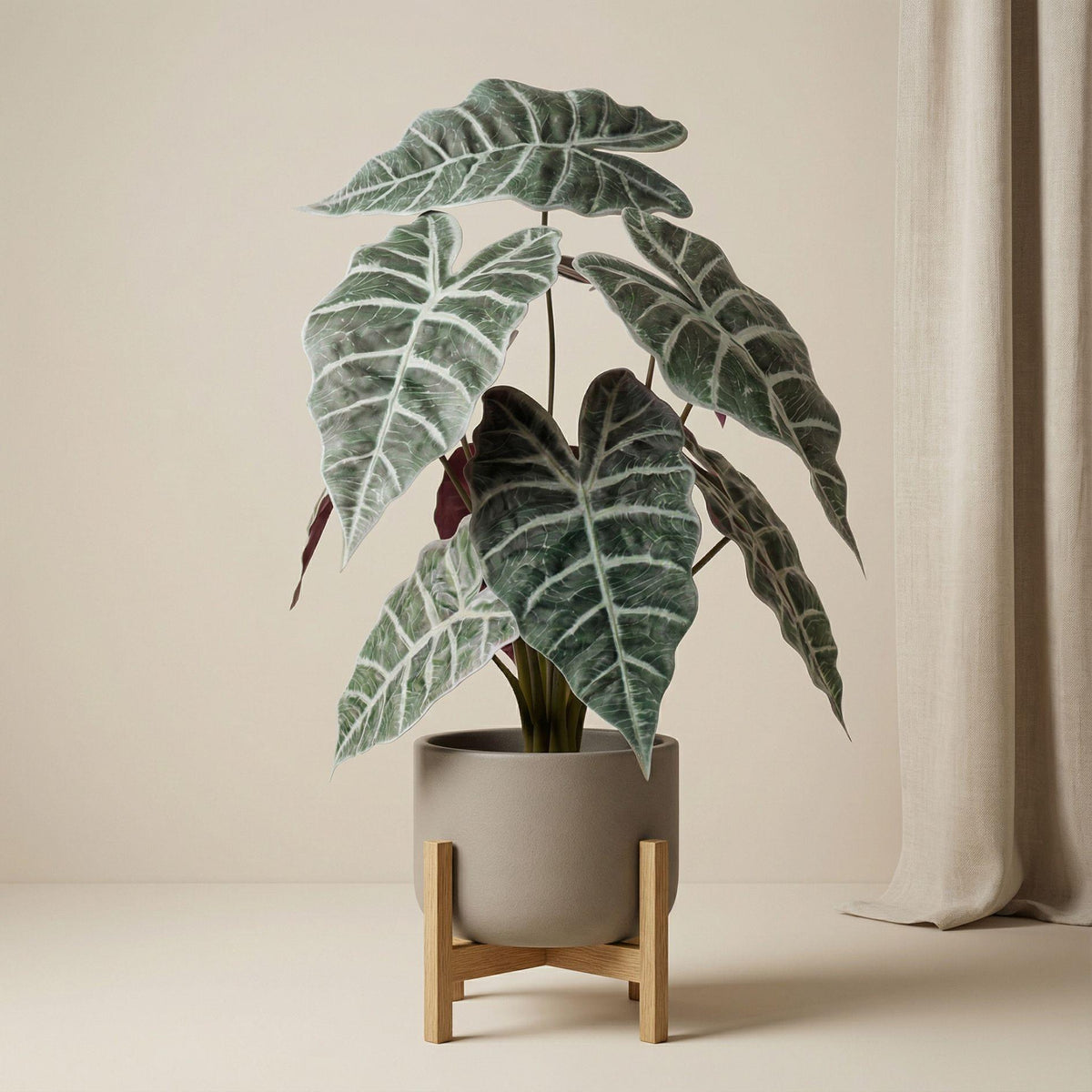 Künstliche Alocasia Busch, ca. 40 cm – Produktfoto