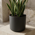 Übertopf elho B.for soft Anthrazit, Ø 18 cm – Ansicht 4