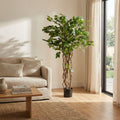Kunst-Ficus Liana, ca. 140 cm – Detailansicht