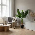 Künstliche Bananenpflanze Musa, ca. 80 cm – weitere Ansicht