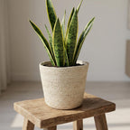 Pflanzkorb Selin, Ø 22 cm – Produktfoto