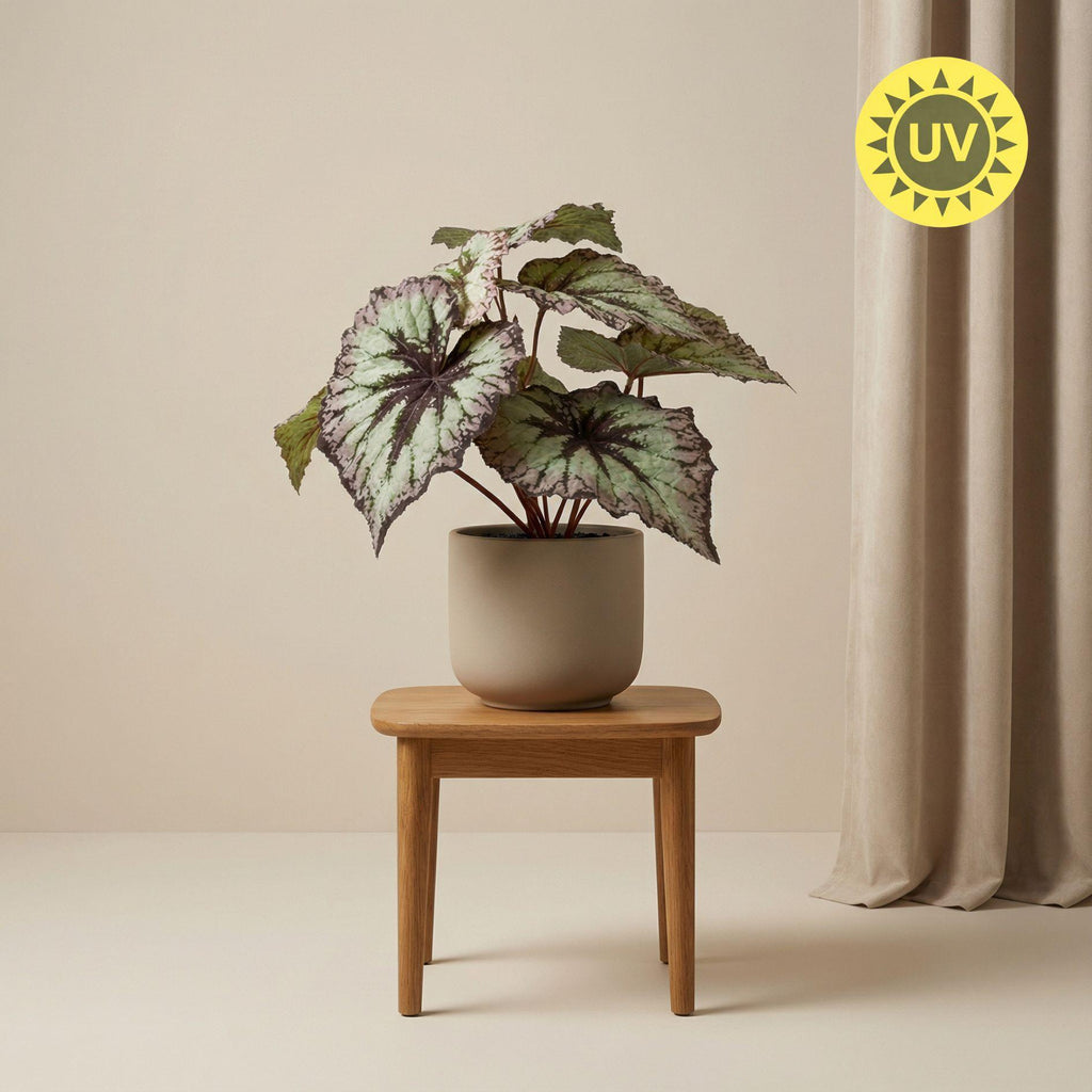 Künstliche Begonie, ca. 26 cm – Produktfoto