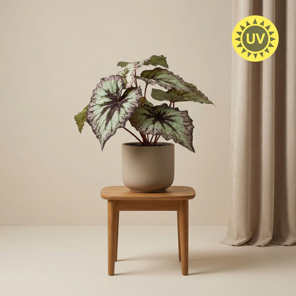 Künstliche Begonie, ca. 26 cm – Produktfoto