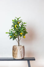 Kunst-Zitronenbaum mit Früchten, ca. 72 cm – Ansicht 5