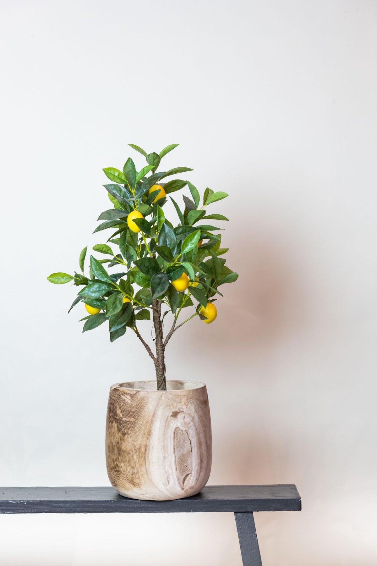 Kunst-Zitronenbaum mit Früchten, ca. 72 cm – Ansicht 5