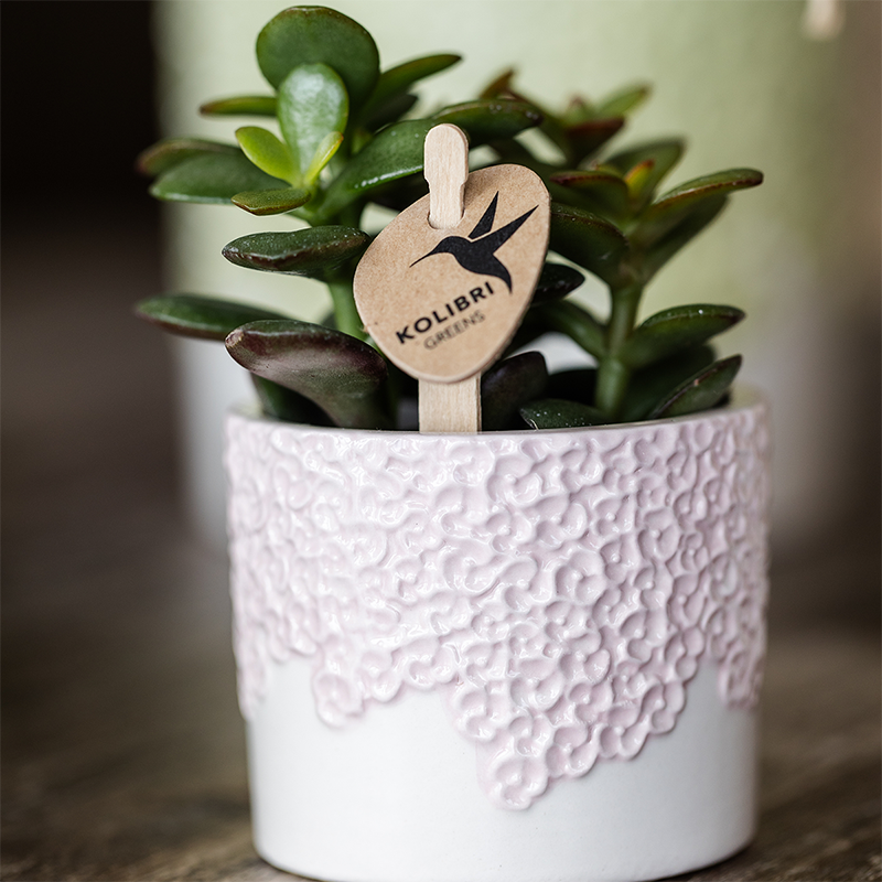 Übertopf-Set Bloom Rosa, 3-teilig – Ansicht 4