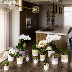 Übertopf Kolibri Home Bloom Lila, Ø 6 cm – Ansicht 7