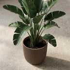Übertopf Capi Nature Groove, Ø 25 cm, Warm Taupe – Ansicht 4