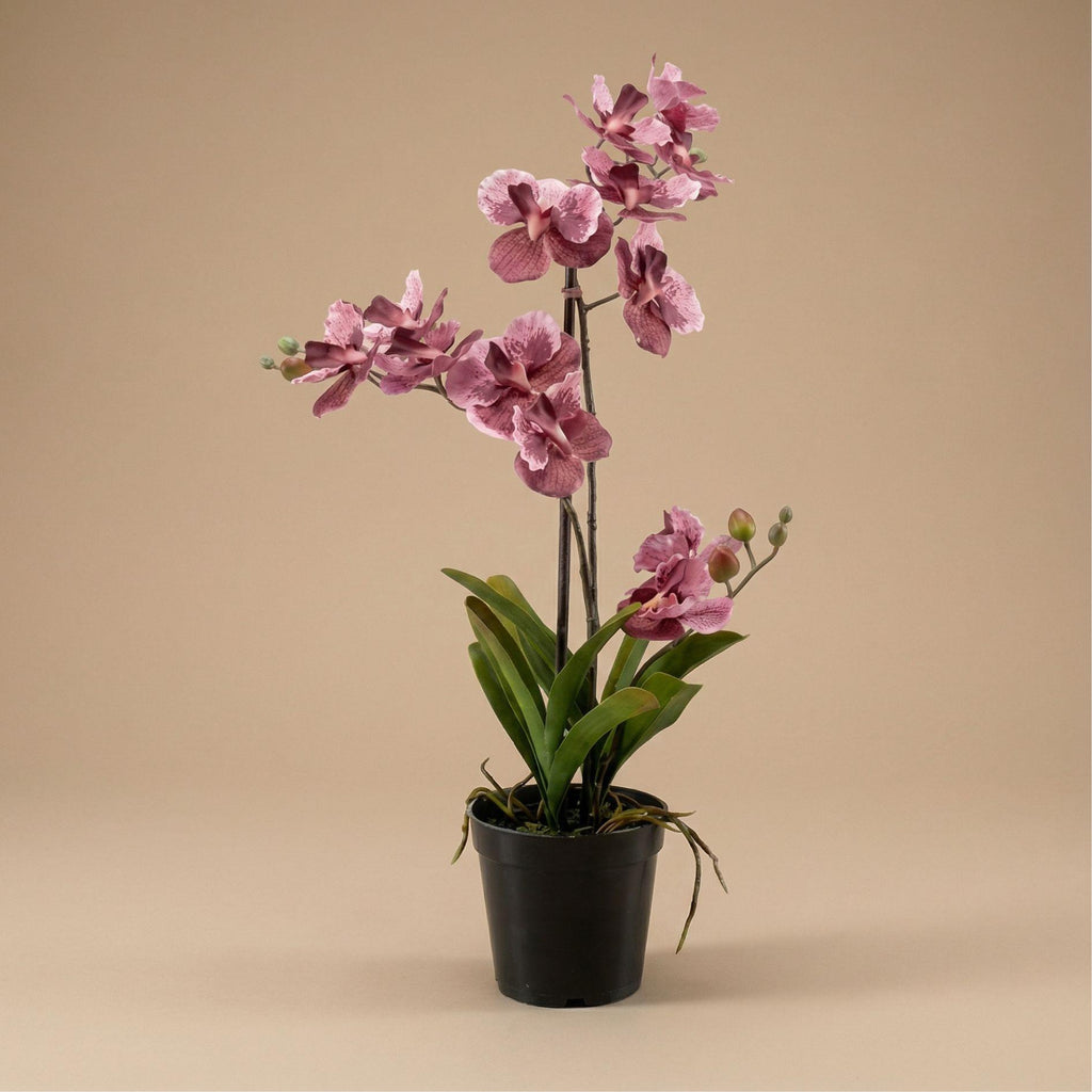 Künstliche Vanda-Orchidee, Altrosa, ca. 60 cm – Produktfoto