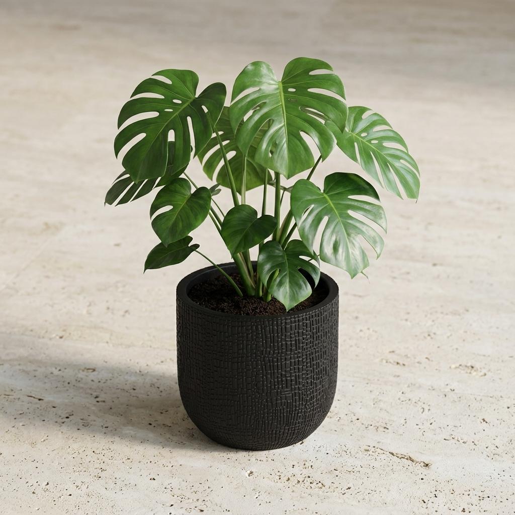 Übertopf Capi Nature Skin Bol, Anthrazit – Ansicht 6, Ø 17 cm