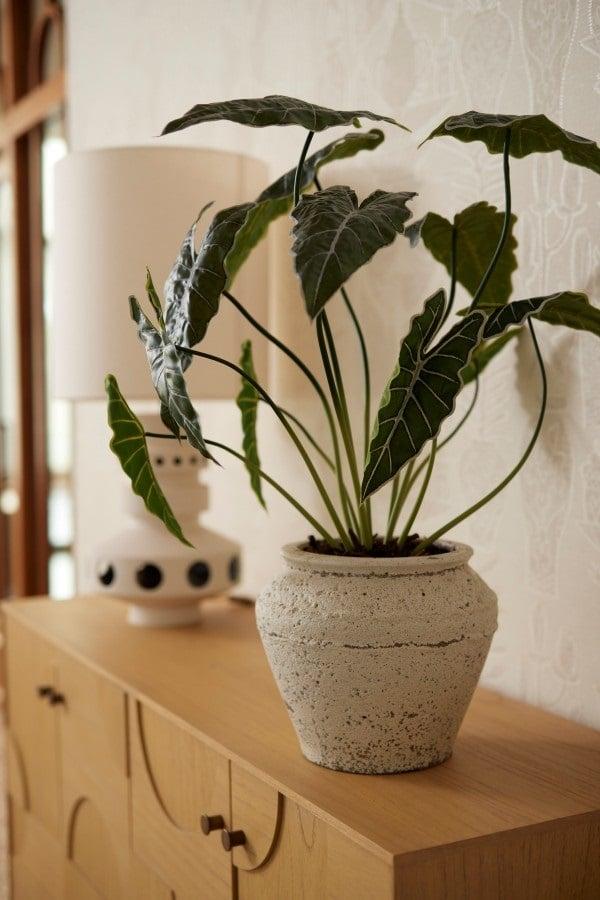 Künstliche Alocasia, ca. 80 cm – weitere Ansicht