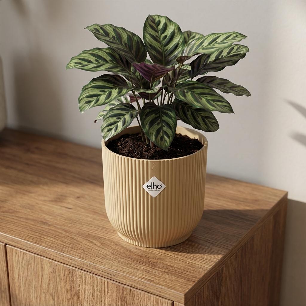 Übertopf elho Vibes Fold Gelb, Ø 14 cm – Ansicht 6