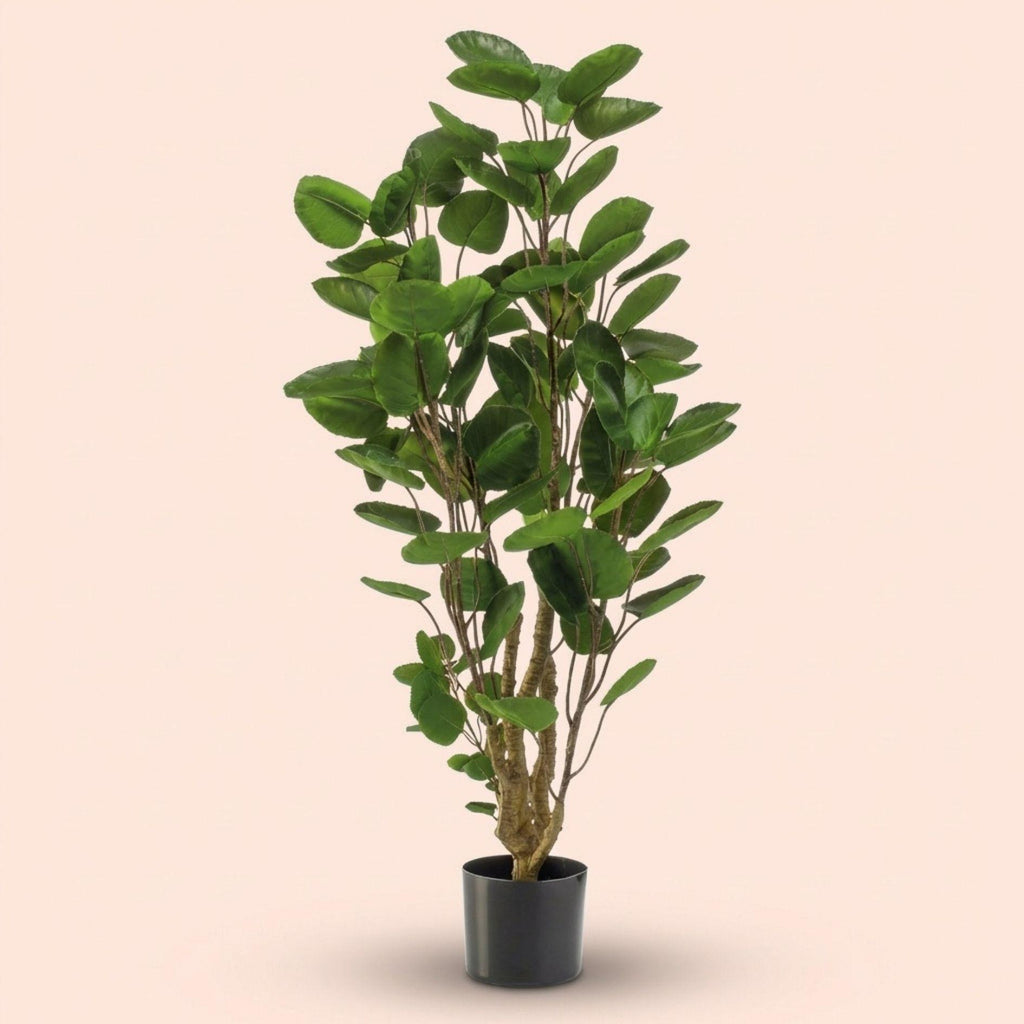 Kunst-Polyscias-Baum, ca. 105 cm – Ansicht 5