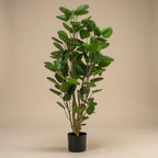 Kunst-Polyscias-Baum, ca. 105 cm – Produktfoto